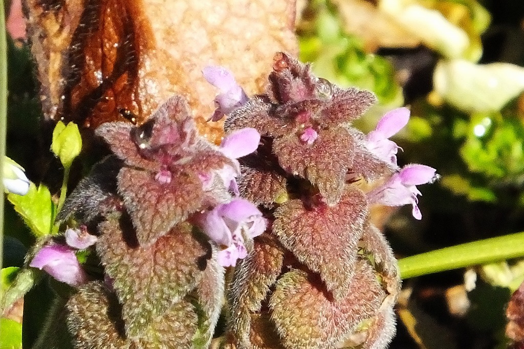 b0236251_18225569.jpg