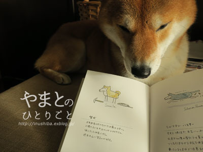 犬の本 【ゆる犬図鑑】_a0286855_08503947.jpg