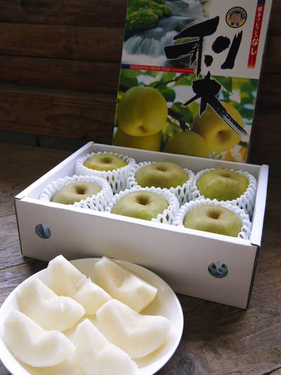 熊本梨 本藤果樹園 冬の剪定と誘引作業で今年も最高のステージを作ります!_a0254656_1749296.jpg