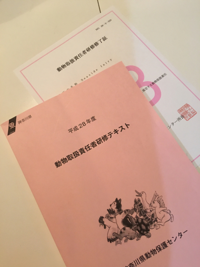 楽しかった講習_f0126965_13063661.jpg