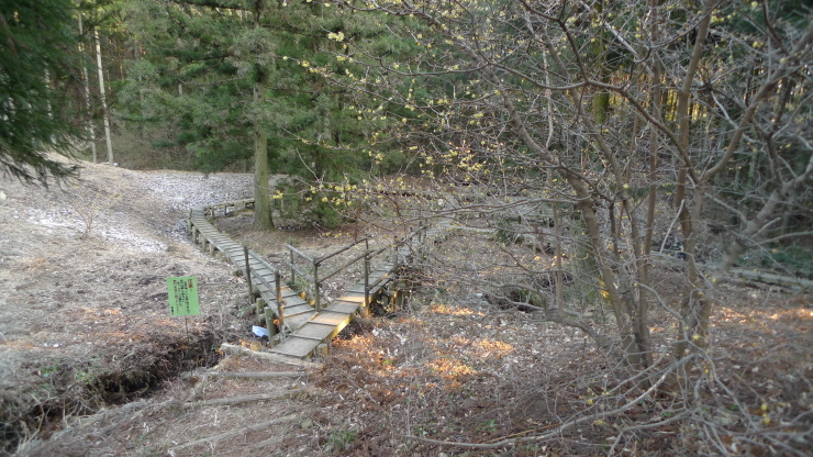 c0212083_17363455.jpg