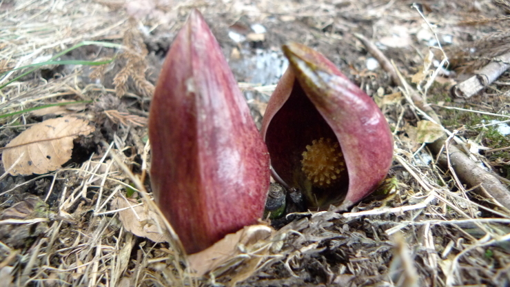 c0212083_17370750.jpg