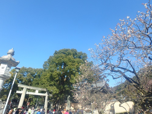 梅の名所で大渋滞・・・_d0195183_21455098.jpg