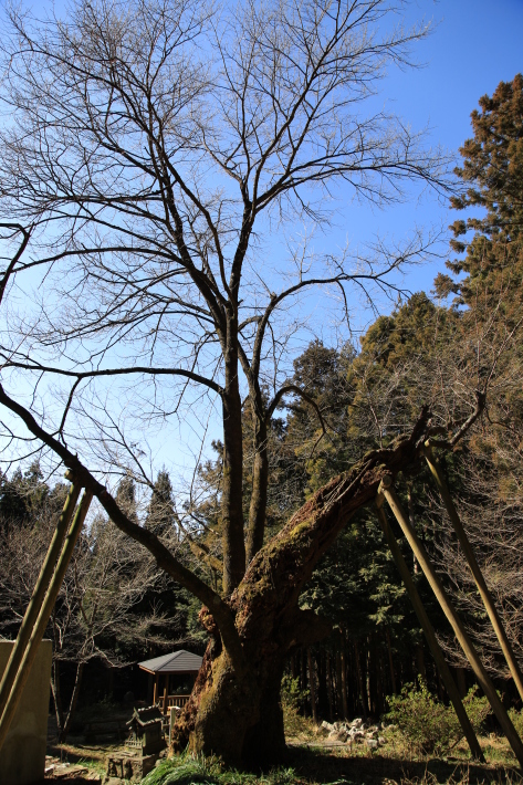 c0358784_20565950.jpg