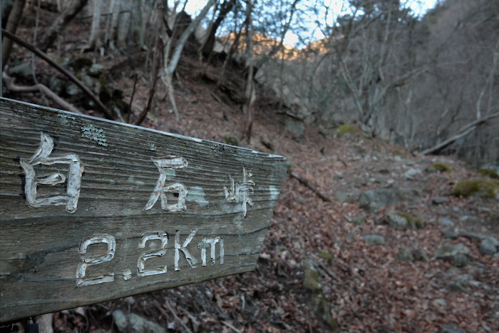 b0339488_18124376.jpg