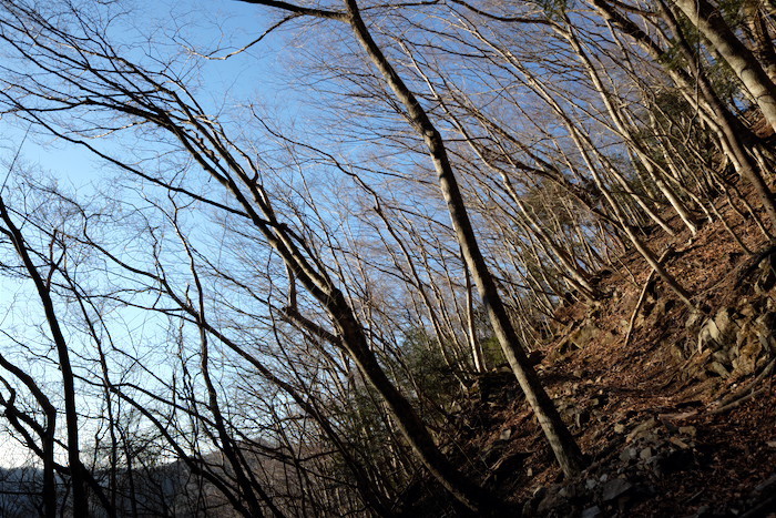 b0339488_18124471.jpg
