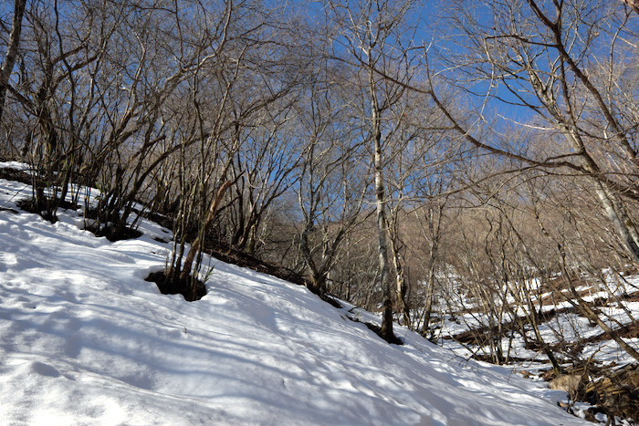 b0339488_18125426.jpg
