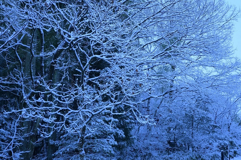 d0234293_18214683.jpg