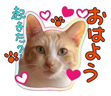 a0333195_07063781.png