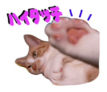 我が家の作画監督の「君の名は。」の三葉ちゃん_a0333195_14021400.png