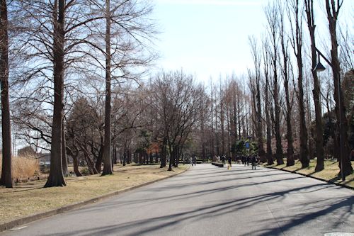 「水元公園」へお散歩に♪_c0090198_203468.jpg