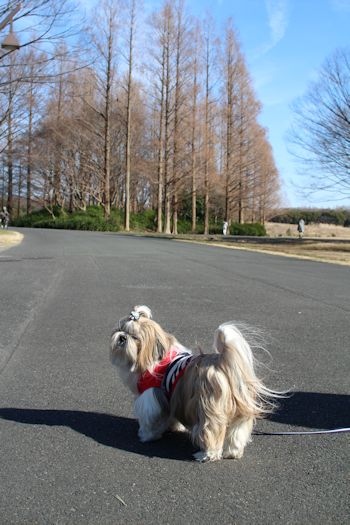 「水元公園」へお散歩に♪_c0090198_2035989.jpg