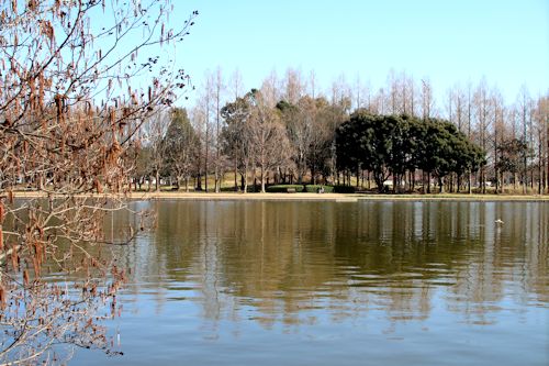 「水元公園」へお散歩に♪_c0090198_2085547.jpg