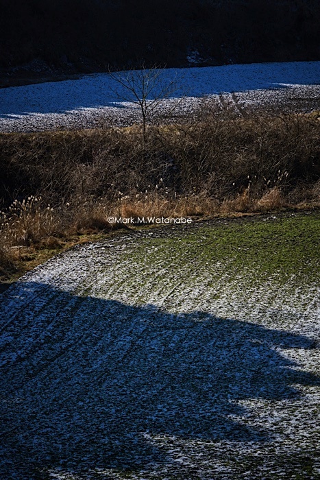 雪解け_e0135098_08571819.jpg