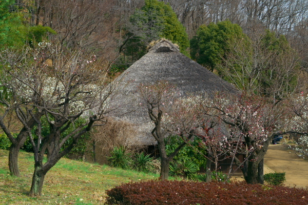 薬師池公園にGO！_f0233999_20302773.jpg