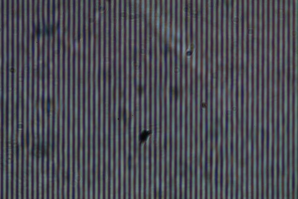 c0164709_21443251.jpg