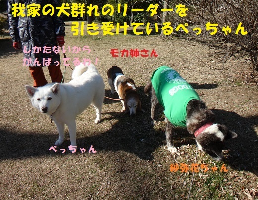 f0121712_07282067.jpg