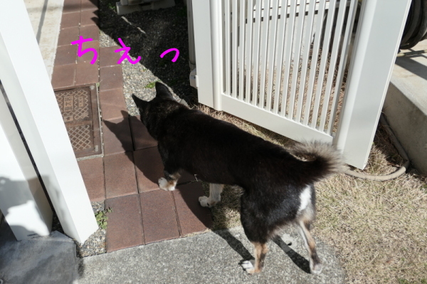 f0369014_14333063.jpg
