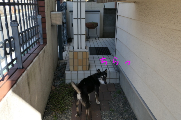 f0369014_14345723.jpg