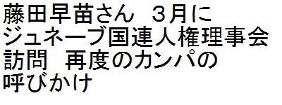 藤田早苗さん 3月にジュネーブ国連人権理事会訪問 再度のカンパの呼びかけ_c0241022_11364623.jpg