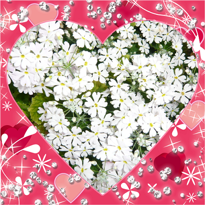 a0206332_10402390.png