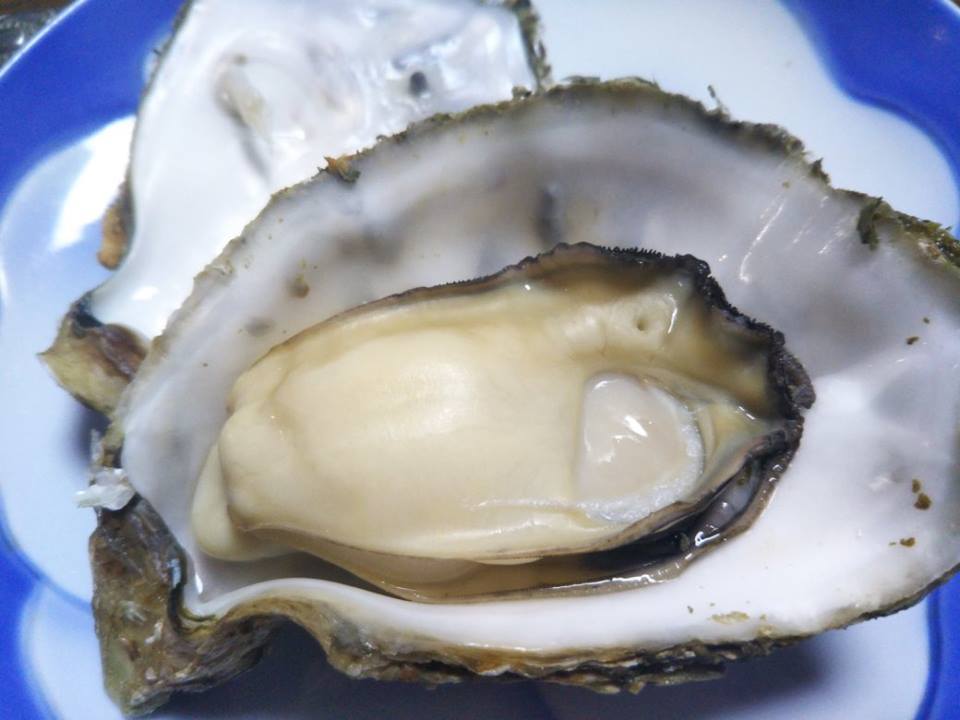 f0153932_12505885.jpg