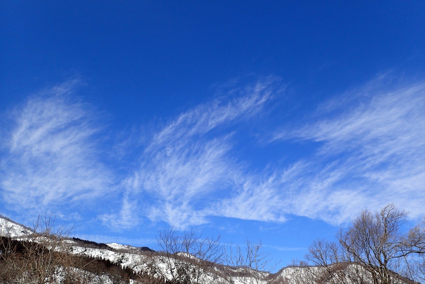 f0348933_21312634.jpg