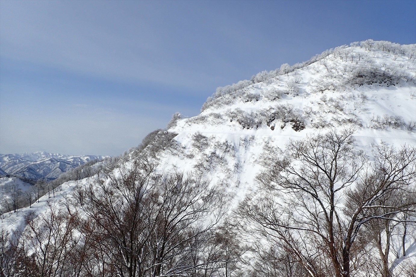 f0348933_21375824.jpg