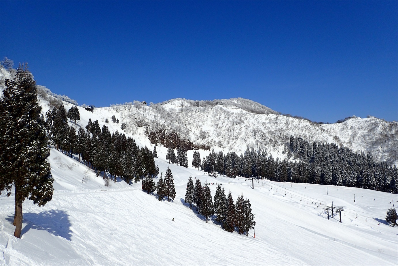 f0348933_21461026.jpg