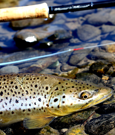 f0055244_14201550.jpg