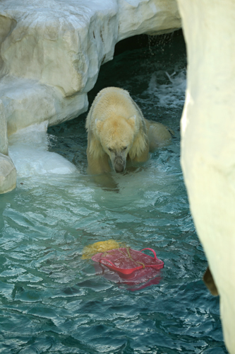 これが私のストレス解消法 動物園のど これが私のストレス解消法 動物園のど