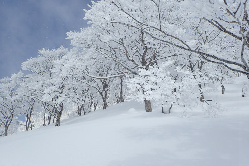 天気・・・ハズしたかな～_d0110562_17303107.jpg