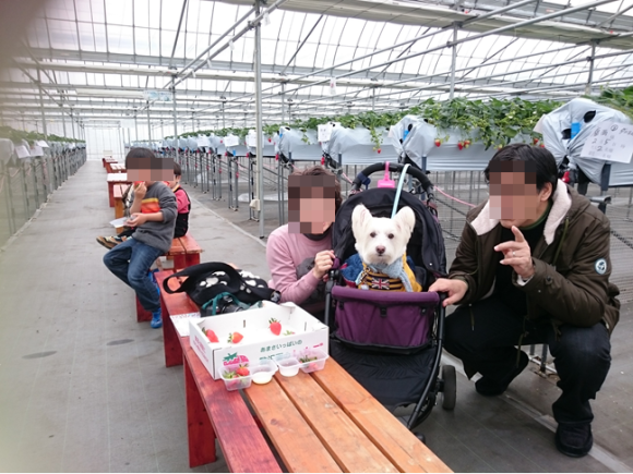 b0242873_00482662.png