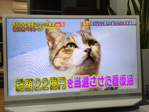 2016修学旅行長崎・唐津の旅2日目_c0150273_00395493.jpg