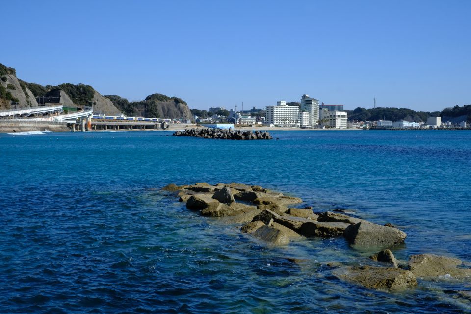 特急わかしおがゆく、海沿いの町勝浦　外房線_e0359873_11005850.jpg