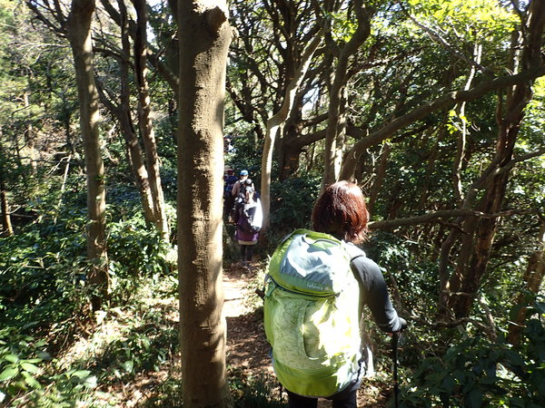 c0286574_9175099.jpg
