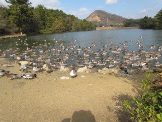 e0046477_2032103.jpg