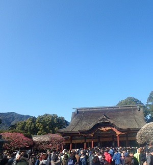 太宰府天満宮の華展_d0195183_20151039.jpg