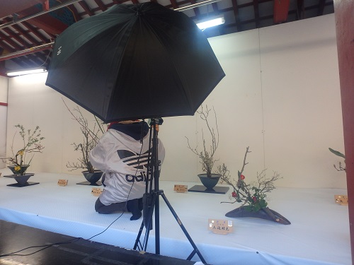 太宰府天満宮の華展_d0195183_20173665.jpg
