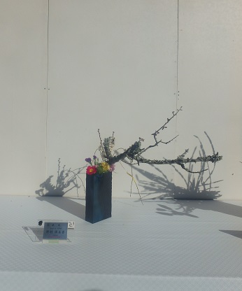 太宰府天満宮の華展_d0195183_20295829.jpg