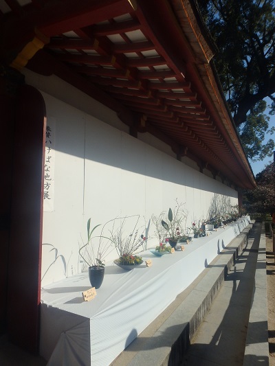 太宰府天満宮の華展_d0195183_20314349.jpg