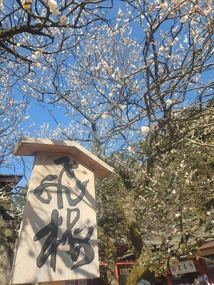 太宰府天満宮の華展_d0195183_20395031.jpg