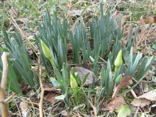 c0335990_09400416.jpg