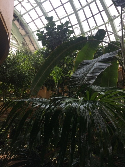 b0199097_13485977.jpg