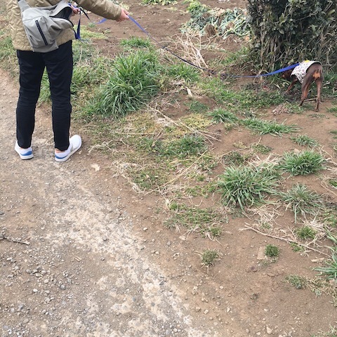d0343297_15210031.jpeg