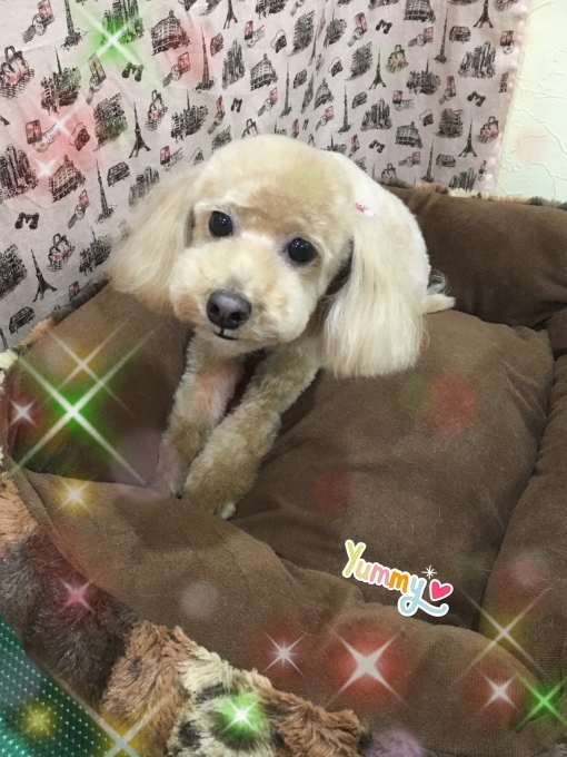 d0269898_18175234.jpeg