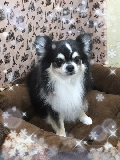 d0269898_18182108.jpeg