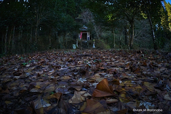 生目神社_e0135098_07061338.jpg