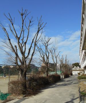 b0364601_15345766.jpg
