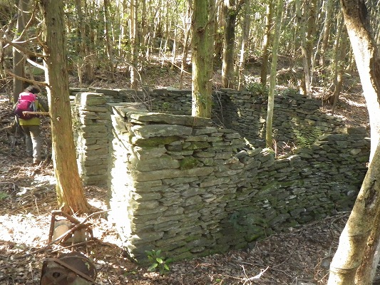 f0187402_20183358.jpg